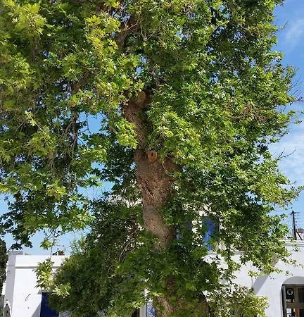 Ioanna's Panormos (Tinos)