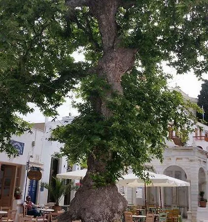 Ferienhaus Ioanna's *