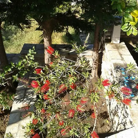 Ioanna's * Pánormos