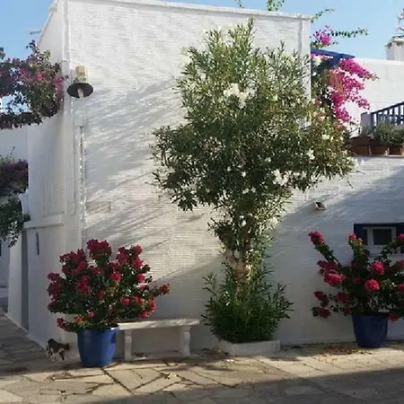 Ioanna's * Pánormos