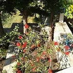Ioanna's * Πάνορμος